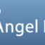Angel Investor of the Year 2010 Logo